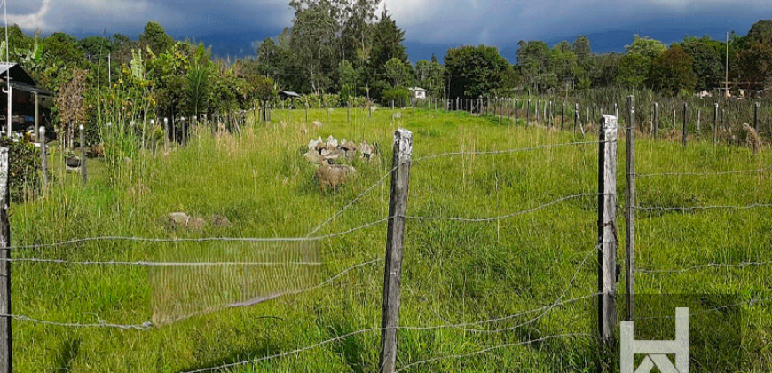 Lote Esquinero-Pacho Cundinamarca